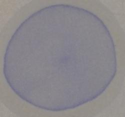 Obrzok (1)